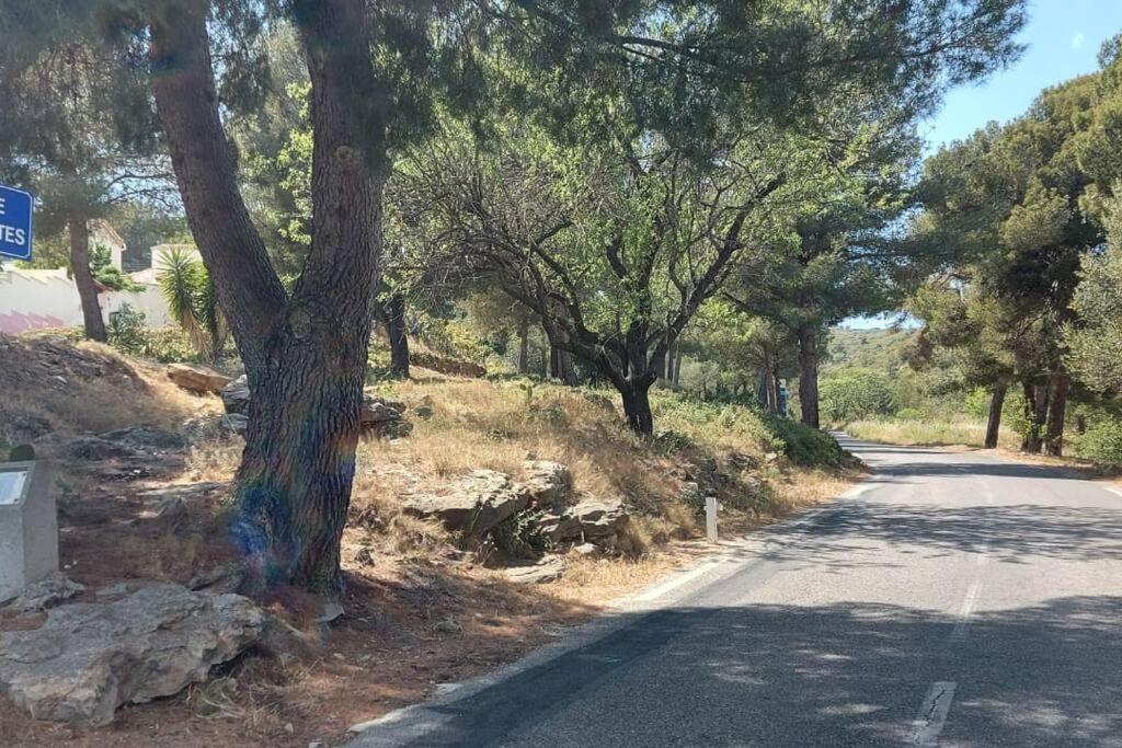 Sea View Climatise Terrasse Vue Mer Parking By Laconciergerie13 La Ciotat Exterior photo